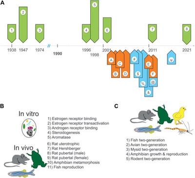Failure to Launch: The Endocrine Disruptor Screening Program at the U.S. Environmental Protection Agency
